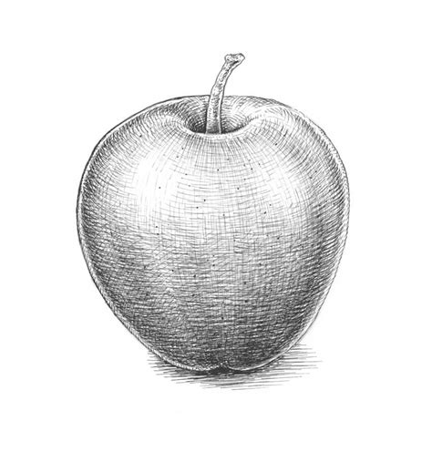 Cómo Dibujar Una Manzana