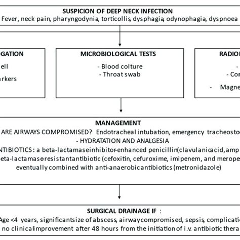 Flow Chart On Management Of Deep Neck Infections In Pediatric Age