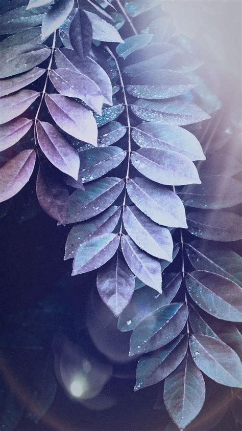 25 Super Pretty Wallpaper Backgrounds For Iphone You Ll Love Artofit