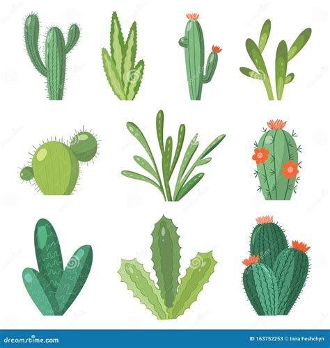 Cartoon Cactus Set Vector Set Of Bright Cacti And Aloe Stock Vector