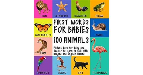 First Words For Babies 100 Animals Picture Book For Baby And Toddler