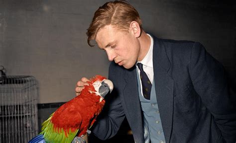 Born 8 may 1926) is an english broadcaster and natural historian. A young Sir David Attenborough pets a green-winged macaw ...