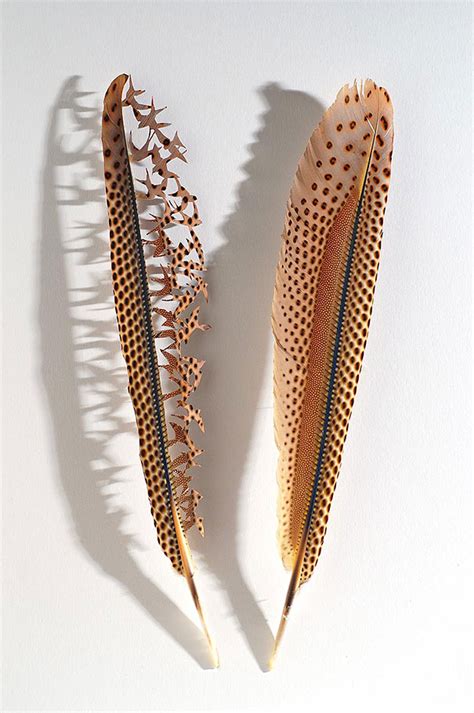 Mind Blowing Feather Art By Chris Maynard Incredible Snaps