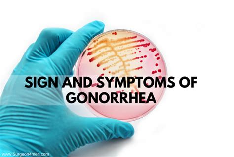 Sign And Symptoms Of Gonorrhea Surgeon4men