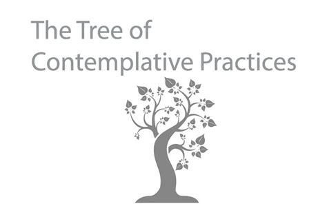 The Tree Of Contemplative Practices Asana International Yoga Journal