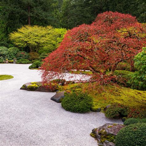 how to make a japanese zen garden in your backyard gardening from house to home