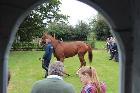 2018 Open Morning Greenall Guerriero Racing