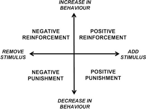 Diagram Illustrating Categories Of Reinforcement And Pu Open I