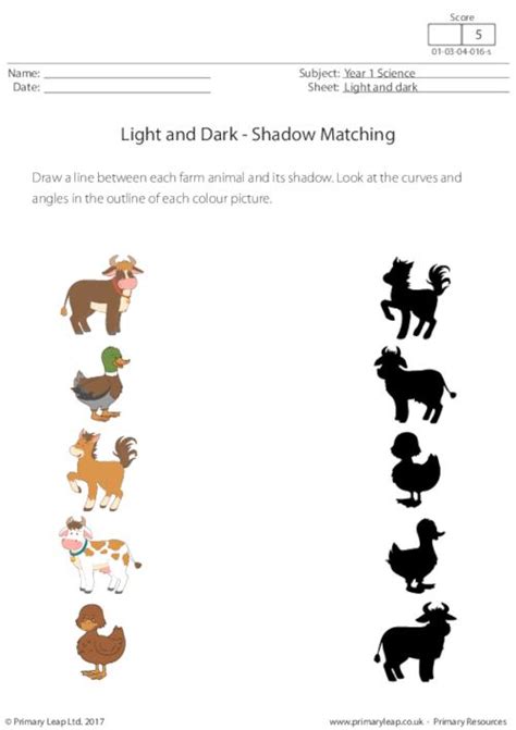 Science Shadow Matching Farm Animals Worksheet Uk