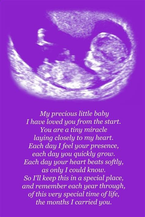 The 25 Best Unborn Baby Quotes Ideas On Pinterest Expecting Quotes