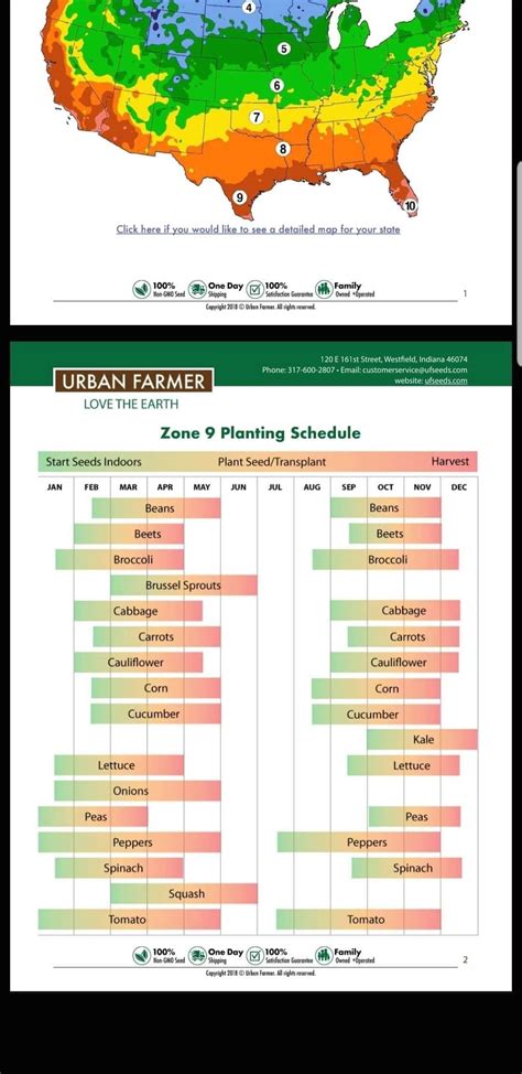 Printable Zone 9 Planting Schedule