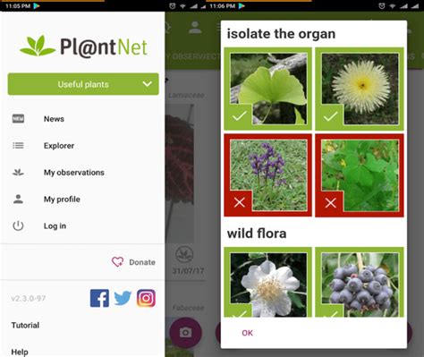 While we haven't tested them yet, we look forward to giving the following plant this is more than just a plant identification app, it is a gardening tool, available for both android and iphone. 6 Best Plant Identifying Apps for iPhone and Android ...