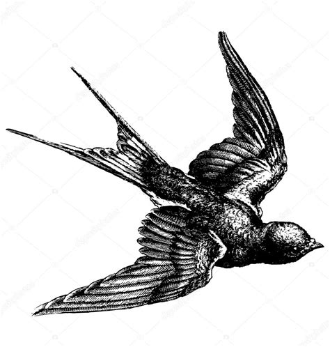 Vintage Bird Vintage Bird — Stock Vector © Enginkorkmaz 65944367