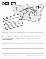 Dinosaur Fossil Worksheets 2nd Grade Photos