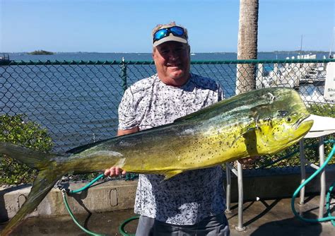 Florida Sport Fishing Association Gallery