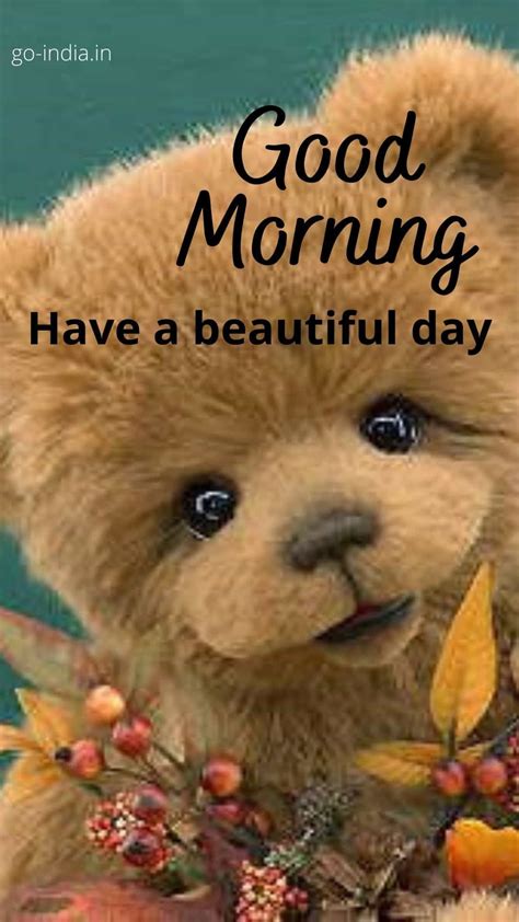 100 Cute Good Morning Teddy Bear Images Latest Update Cute Good