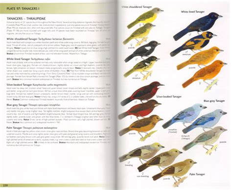 Birds Of Trinidad And Tobago Martyn Kenefick Second Edition