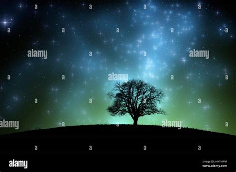 Tree On Hill In Night Landscape Starry Sky And Milky Way Surreal