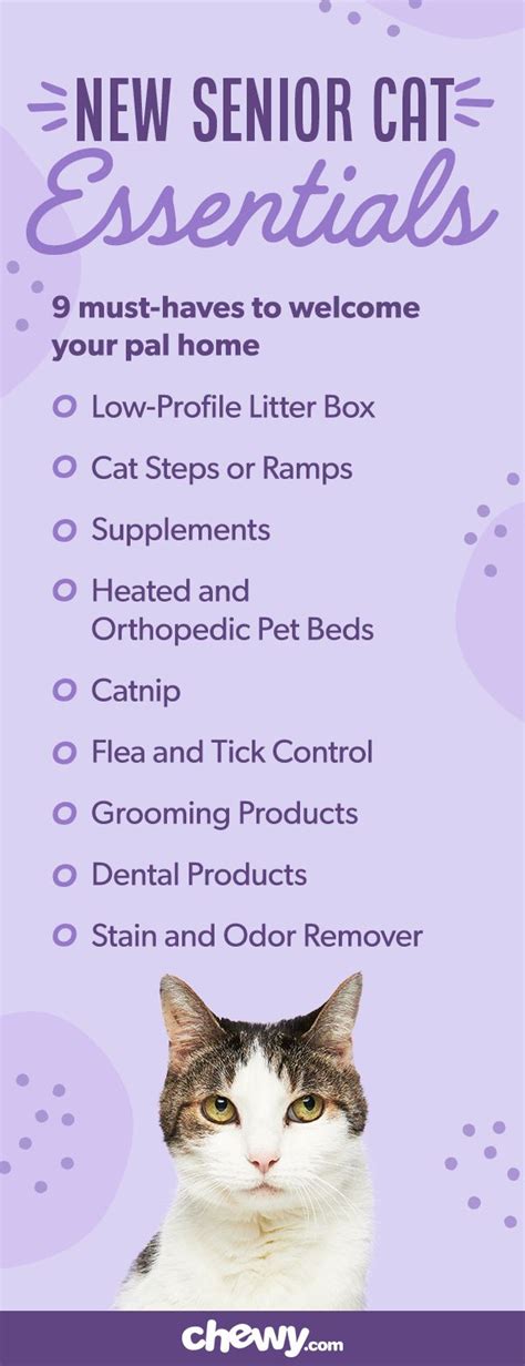 New Cat Product Checklist For Every Life Stage Senior Cat Cat