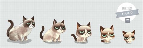 Tard The Grumpy Cat By Ethe On Deviantart