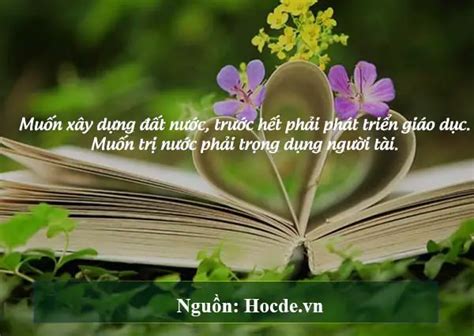 [chọn lọc] top những câu nói hay về học tập ý nghĩa nhất