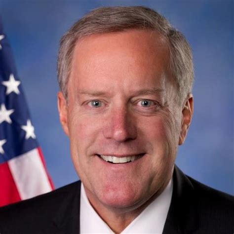 Mark Meadows Political Summary The Voters Self Defense System