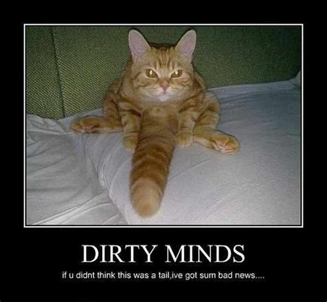 Harmless Pics That Prove You Have A Dirty Mind Page Of