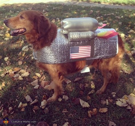 Diy Dog Astronaut Costume