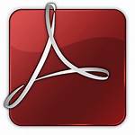 Adobe Reader Acrobat Icon Ico Pdf Clipart
