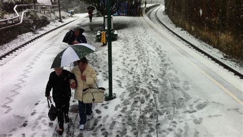 Snow has arrived in the blue mountains. Spring snow in the Blue Mountains | Blue Mountains Gazette