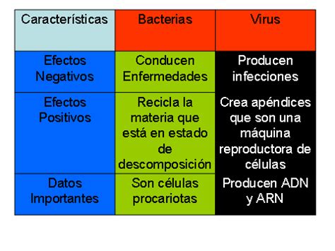 Cuadros Comparativos Sobre Virus Y Bacterias Cuadro Comparativo