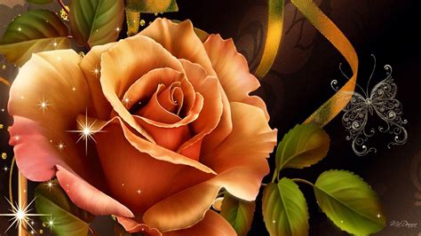 Peach Roses Wallpapers Top Free Peach Roses Backgrounds Wallpaperaccess