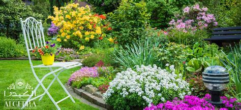 Some Untold But Great Garden Ideas For Your Home
