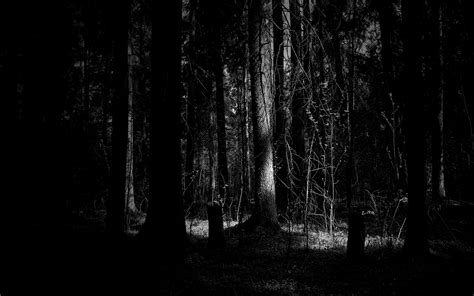 Download Dark Woods Wallpaper By Ealvarez Dark Woods Wallpaper