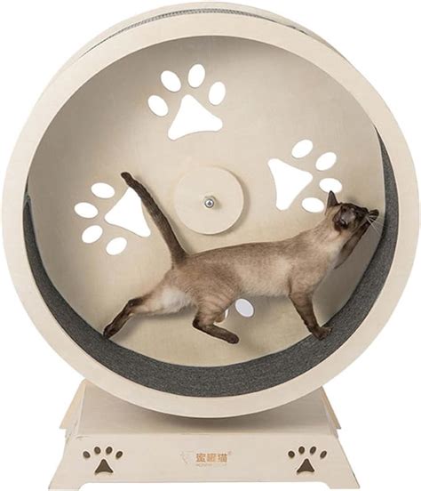 Cat Treadmill Pet Solid Wood Cat Climbing Frame Cat Exercise Wheel