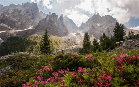 Télécharger Fonds Décran Dolomites Alpes Paysage De Montagne Fleurs