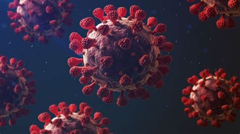 Coronavirus Caracter Sticas Que Hacen Tan Mortal A La Covid Bbc News Mundo