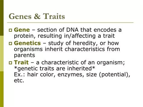 Ppt Genes And Traits Powerpoint Presentation Free Download Id5522455