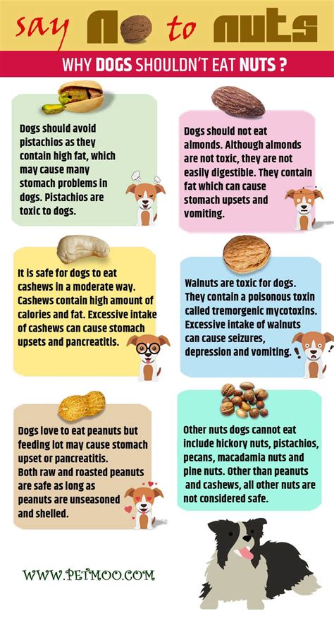 Can cats eat almond butter/mlik? Can Dogs Eat Nuts? Good & Bad Nuts For Dogs - Petmoo