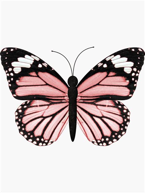 Light Pink Butterfly Sticker By Emmagsheehan Artofit