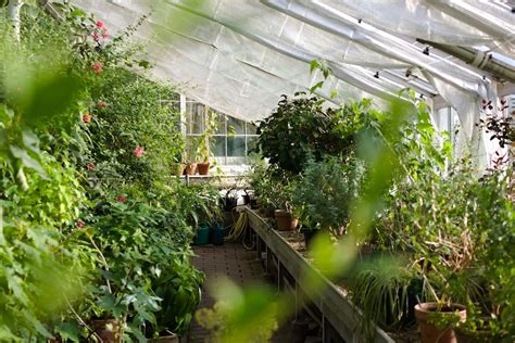 Furthermore, you should always have this in we want to know how passionate you are about agriculture, leave us a comment and share with us what you know about greenhouses and their. How To Build A High Tunnel Greenhouse And Extend Growing Season