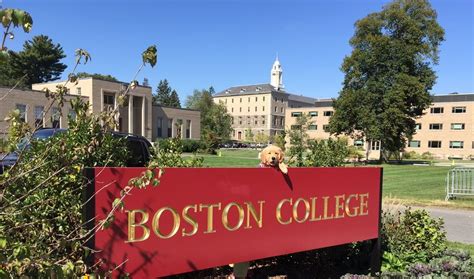 Can You Spot The Golden Famous Instagram Pup Maeve The Golden Retriever Visited Boston College