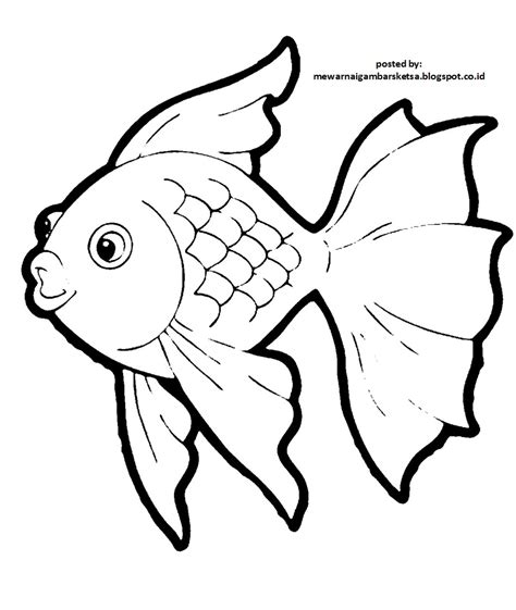 Mewarnai Gambar Mewarnai Gambar Sketsa Hewan Ikan 2
