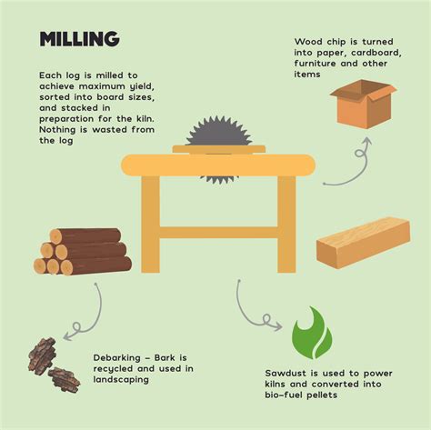 Timber Production Process