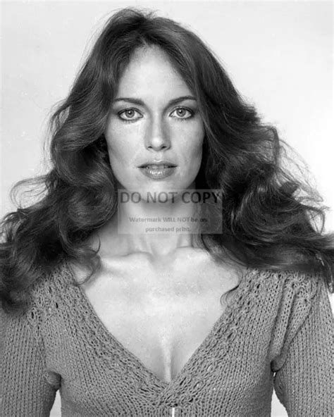 Actress Catherine Bach Pin Up X Publicity Photo Mw
