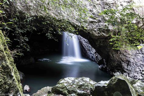 Waterfall Cave Foto And Bild Australia And Oceania Australia Queensland
