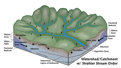Stream Networks Vs Watersheds Catchments Rainfall To Groundwater