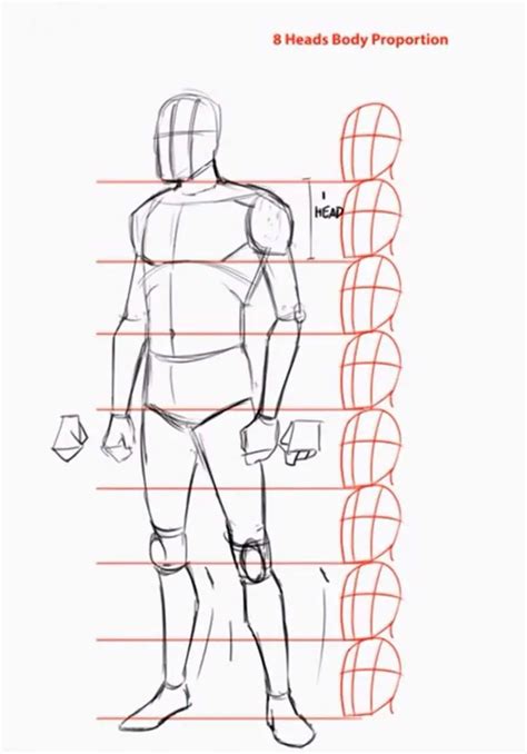 Apprendre Dessiner Corps Humain Personnage Human Body Drawing Human