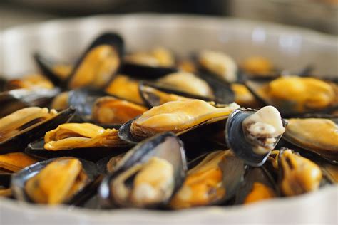 Free Images Mussel Food Seafood Bivalve Clam Cuisine Molluscs