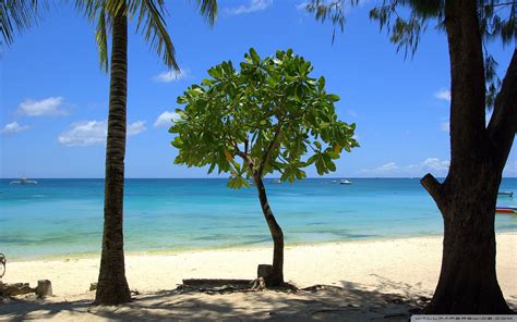 Widescreen Tropical Beach Wallpaper Tons Of Awesome Tropical Beach